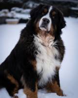 Julie RENAUT - SOUS NOS YEUX