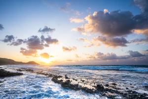 Véronique LARRUE - LARRUE VERONIQUE