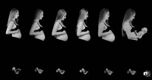 1775810423206962693-picture.jpg